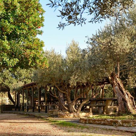 Camping Alquezar Exterior photo
