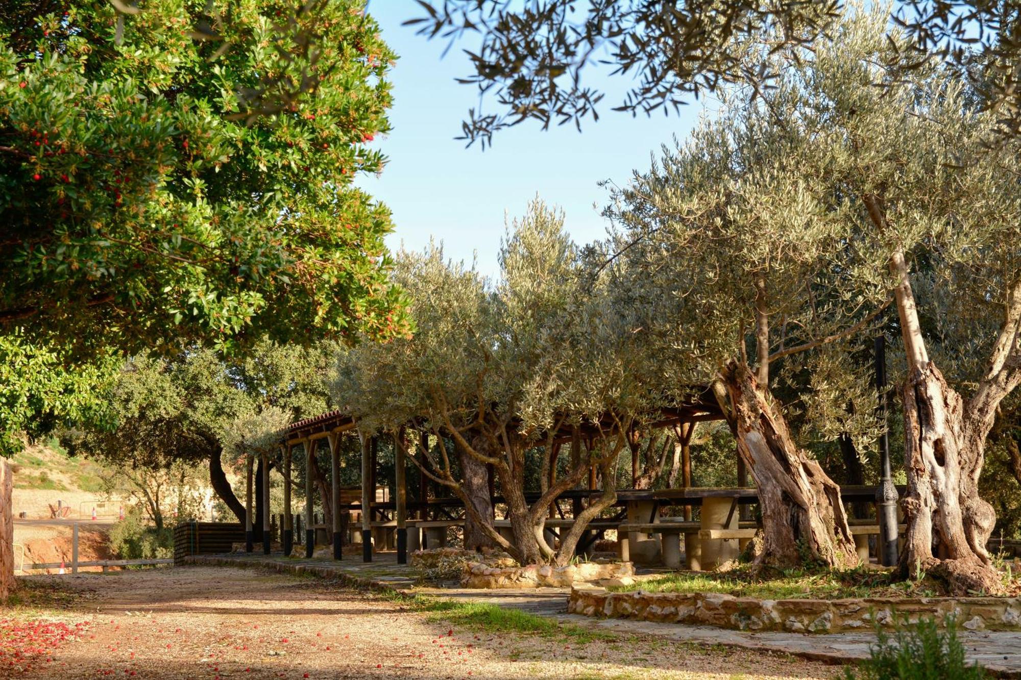 Camping Alquezar Exterior photo
