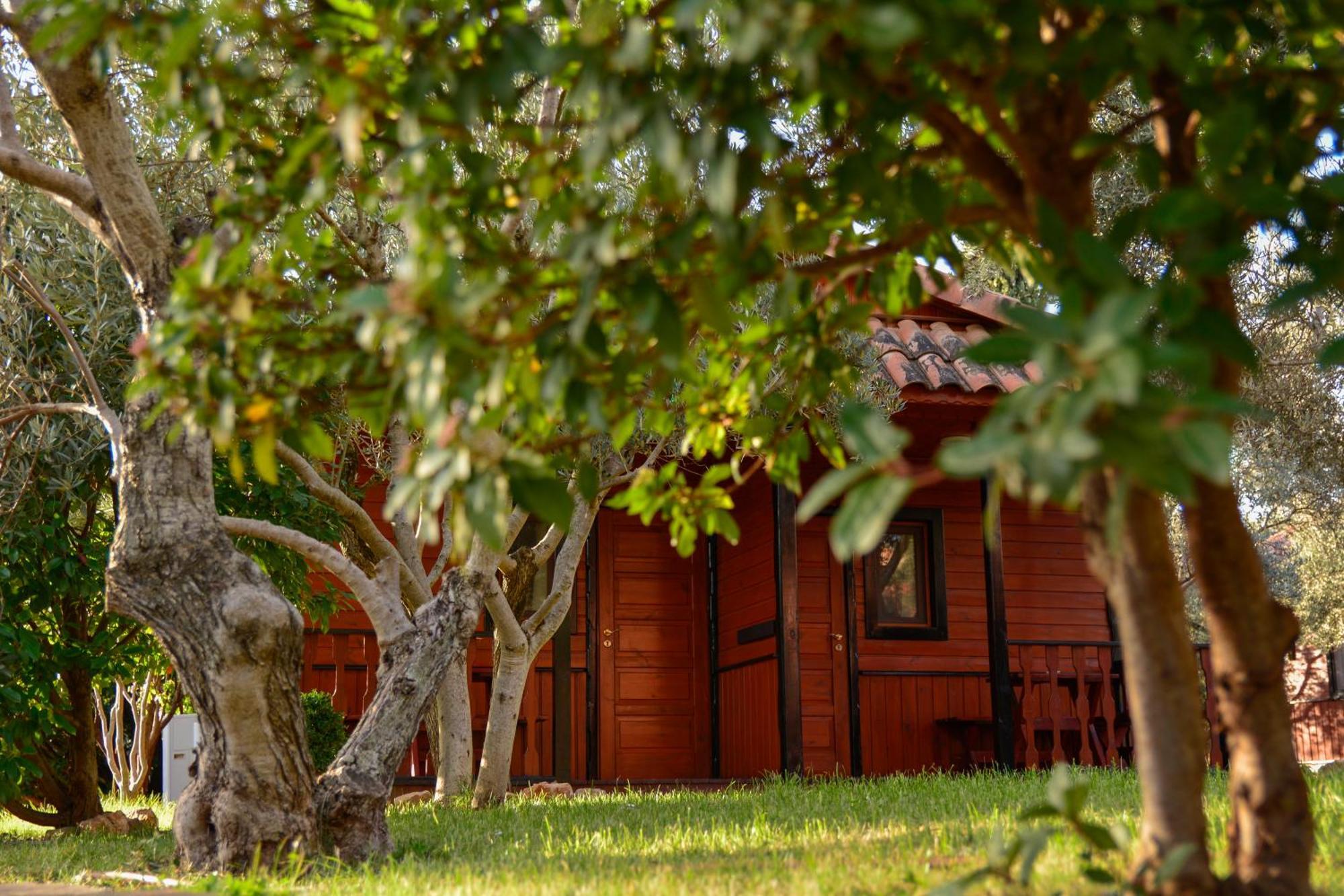 Camping Alquezar Exterior photo